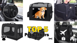 los 5 mejores transportines para perros